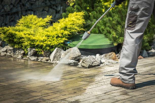 Best Spring Cleaning  in Minden, LA