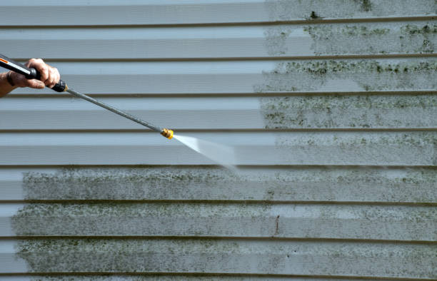 Trusted Minden, LA Pressure Washing Experts